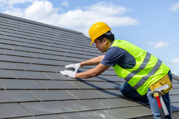 Best Roof Inspection Near Me  in Johnson Lane, NV
