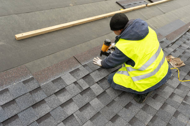 Best Residential Roofing Contractor  in Johnson Lane, NV