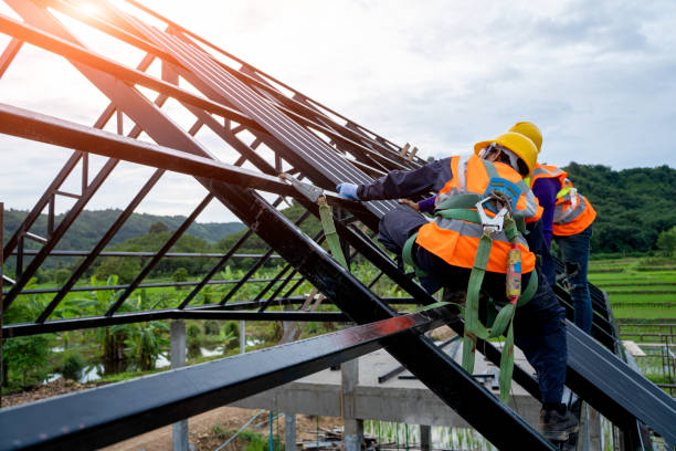 Best Local Roofing Companies  in Johnson Lane, NV