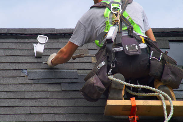 Best Best Roofing Contractors  in Johnson Lane, NV