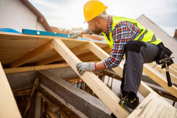 Best Best Roofing Contractors  in Johnson Lane, NV