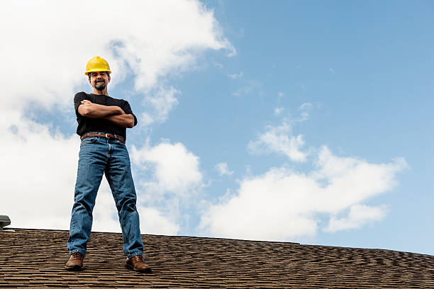 Best Gutter Installation and Roofing  in Johnson Lane, NV