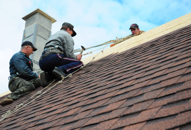Quick and Trustworthy Emergency Roof Repair Services in Johnson Lane, NV