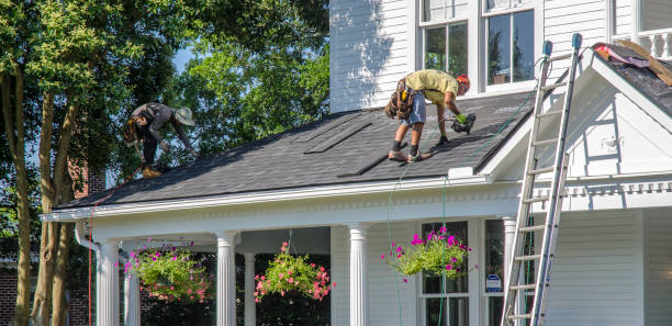 Best Storm Damage Roof Repair  in Johnson Lane, NV