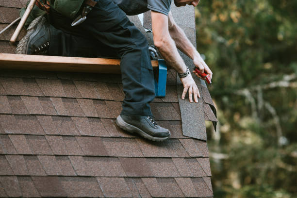 Best New Roof Installation  in Johnson Lane, NV