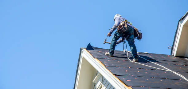 Best Roof Repair Services  in Johnson Lane, NV